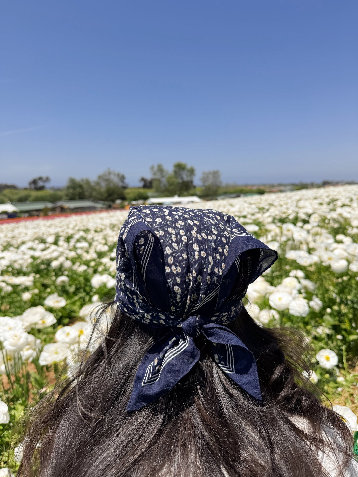 Indigo Cotton Head Scarf