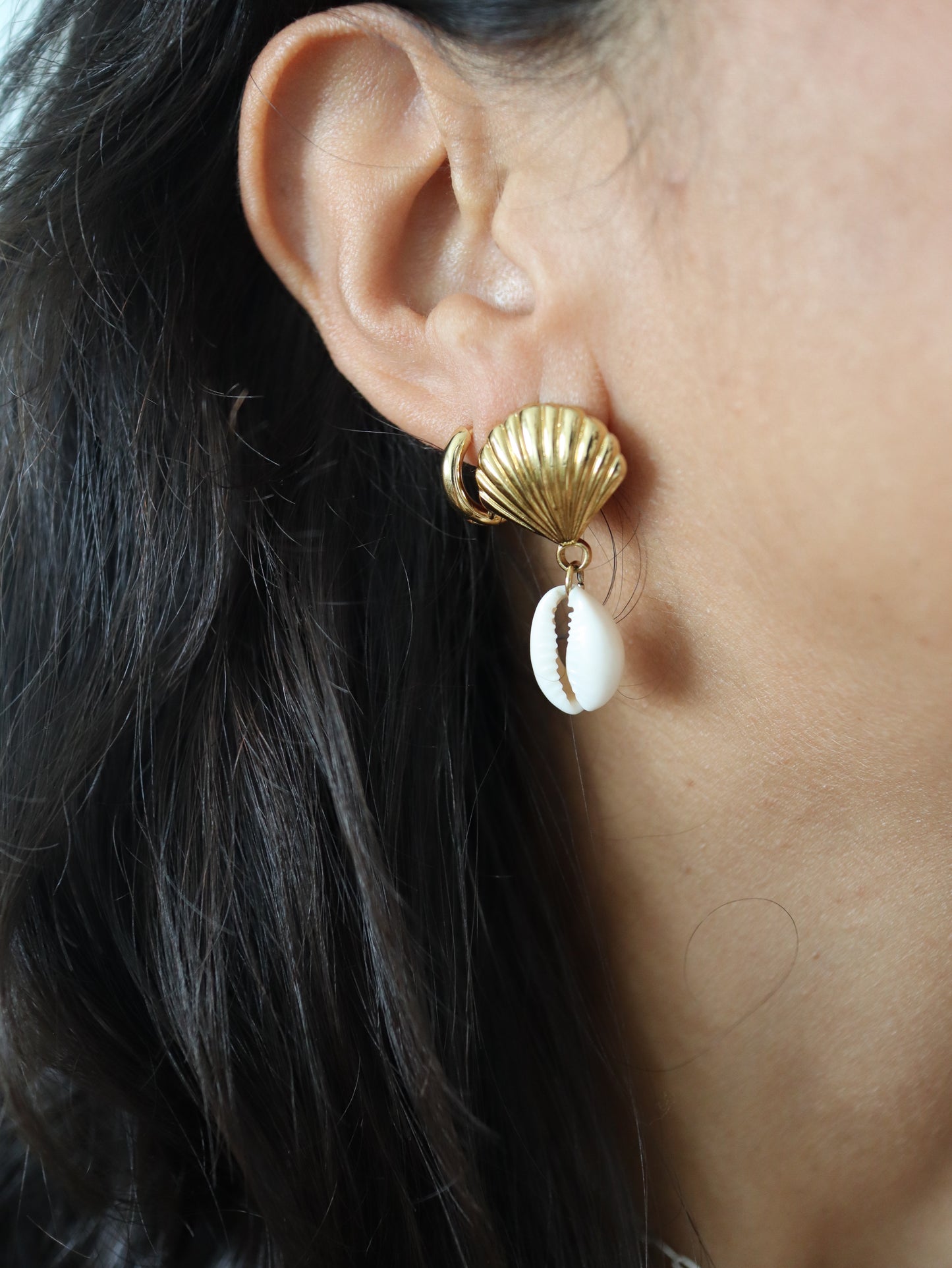 Conch Shell Earrings