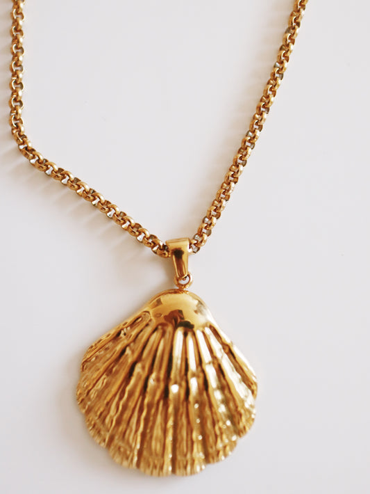 Kauai Shell Necklace