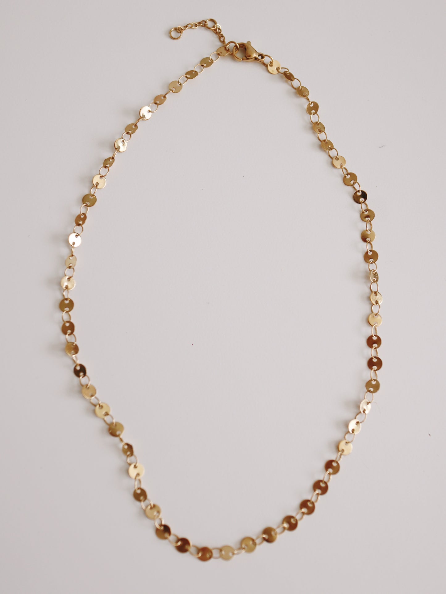 Brooke Coin Necklace