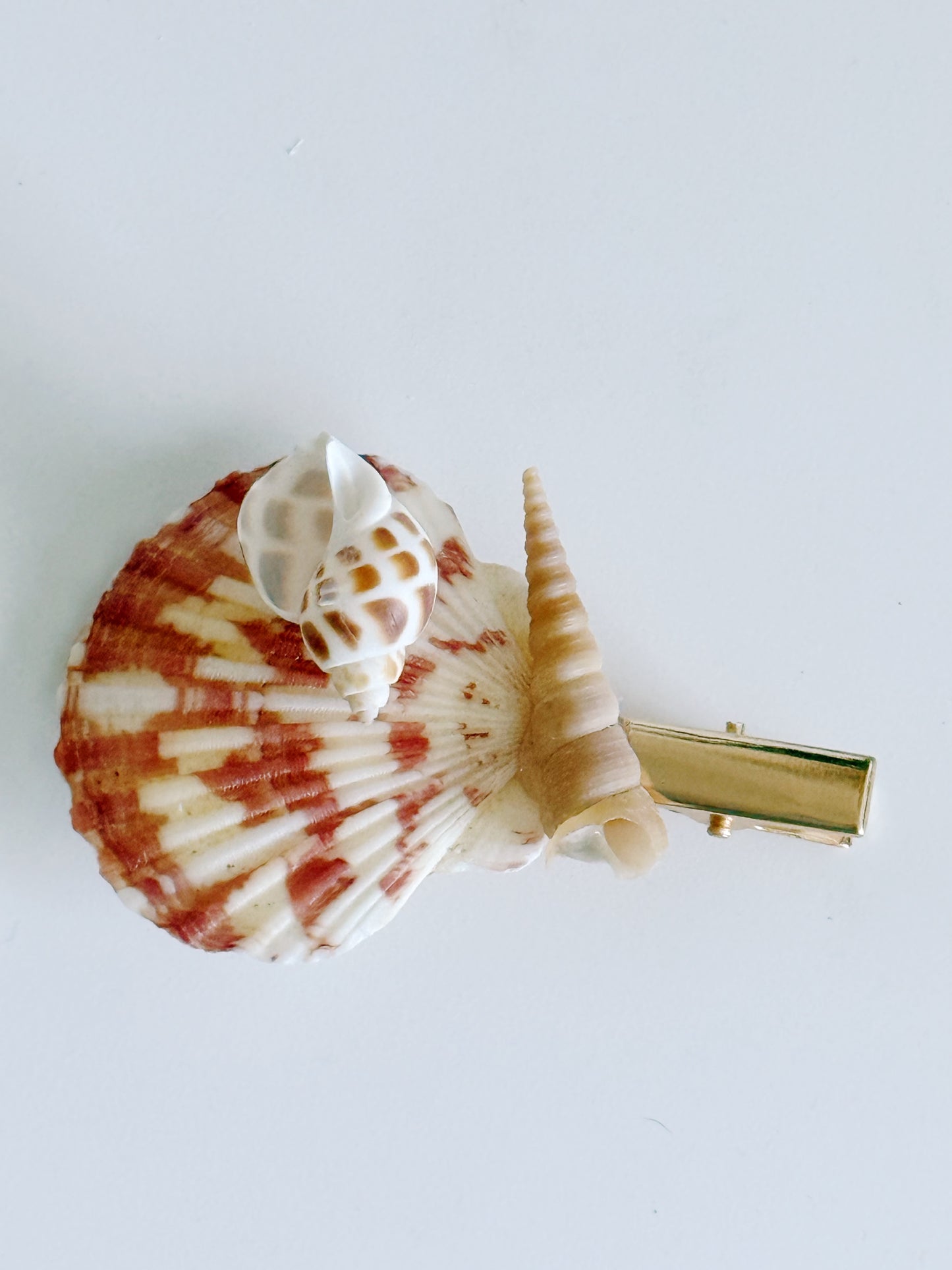 Solana Shell Hair Clip
