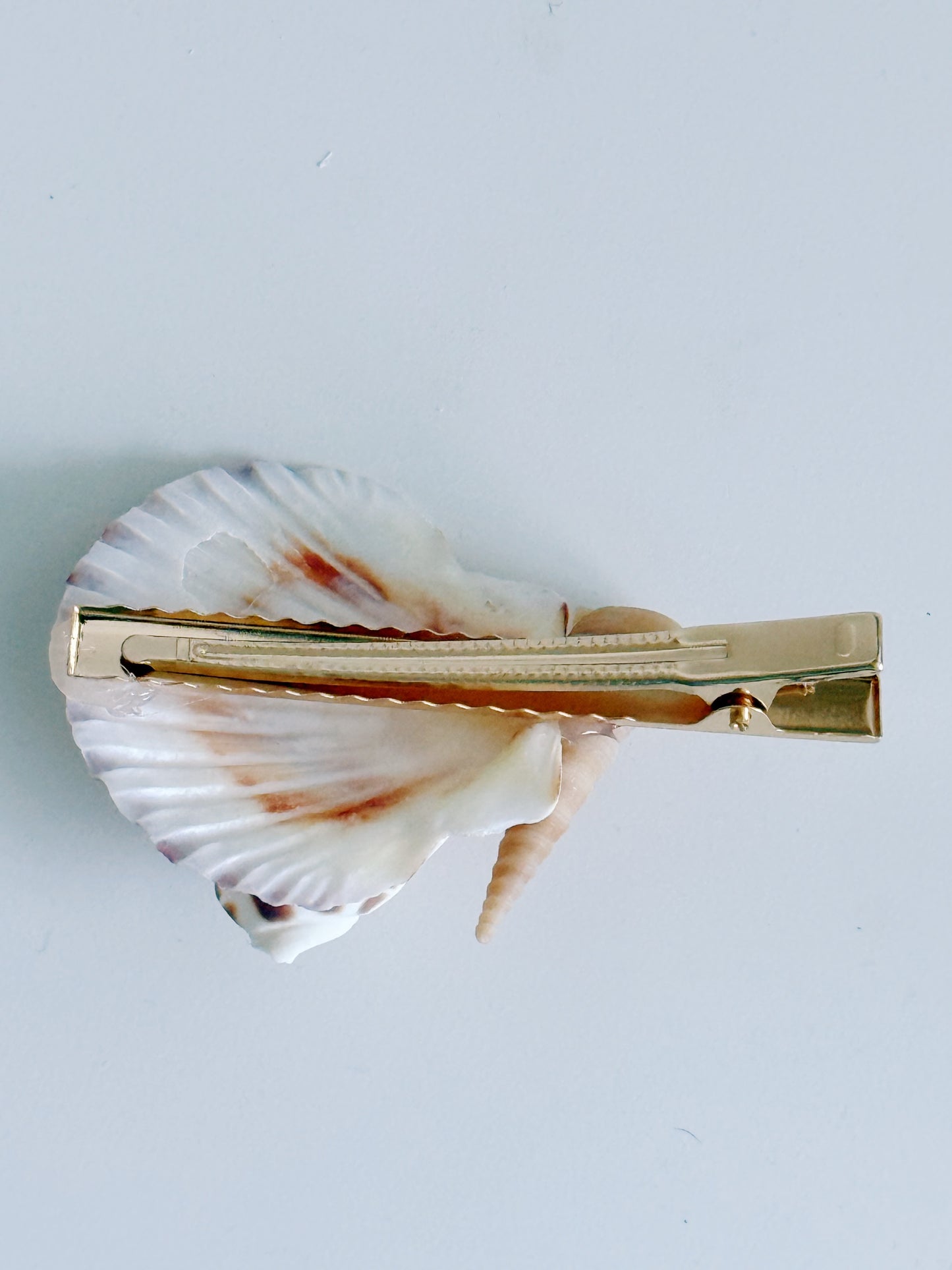 Solana Shell Hair Clip