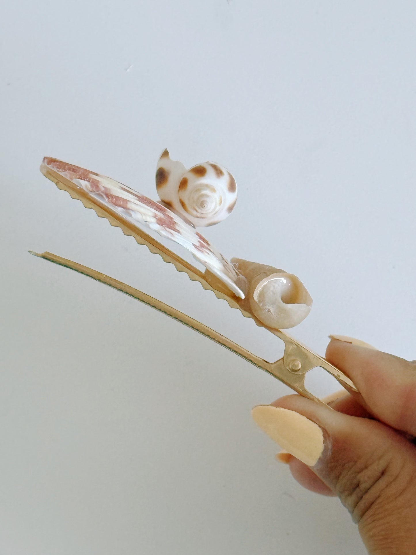 Solana Shell Hair Clip