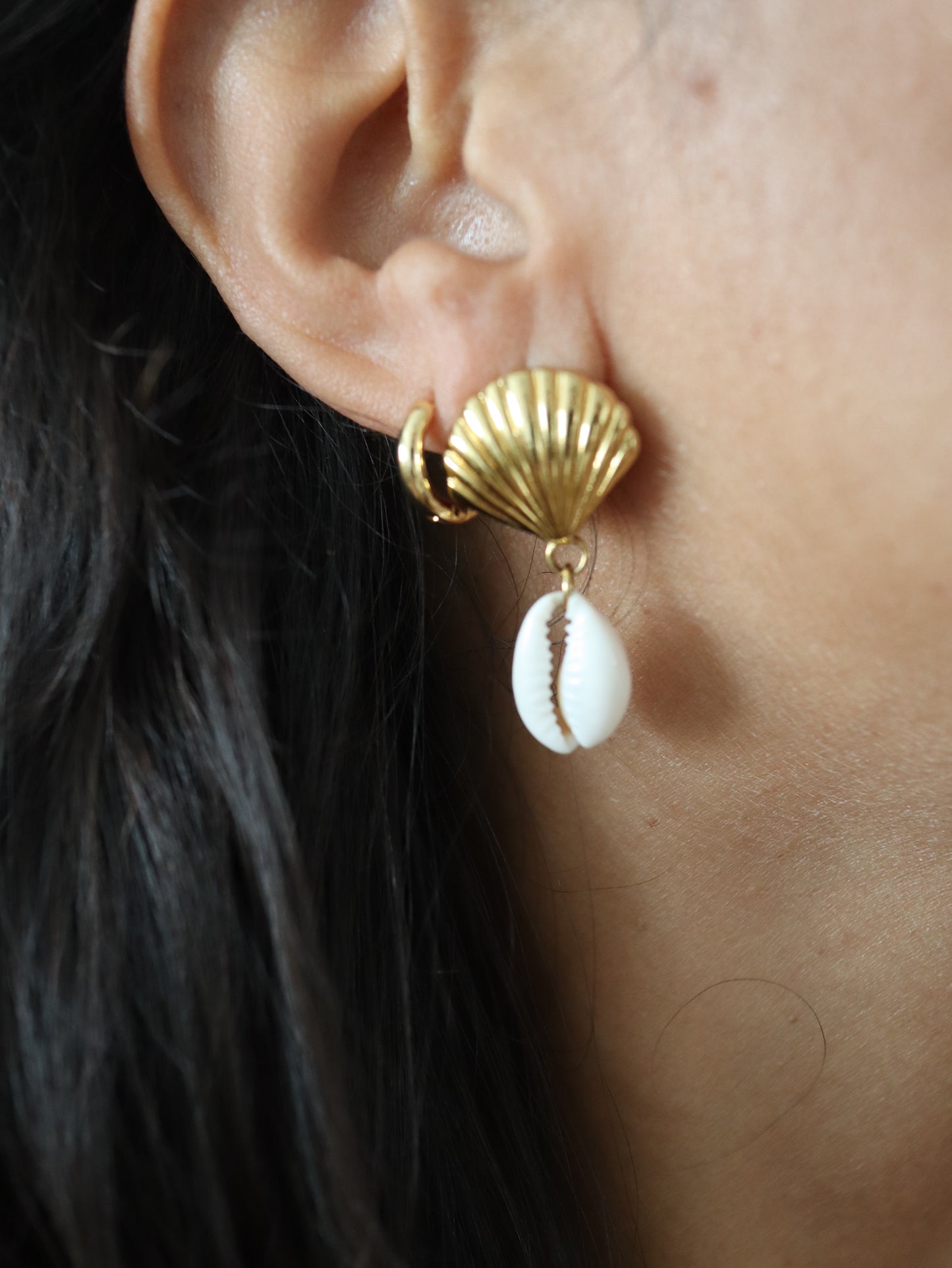 Conch Shell Earrings