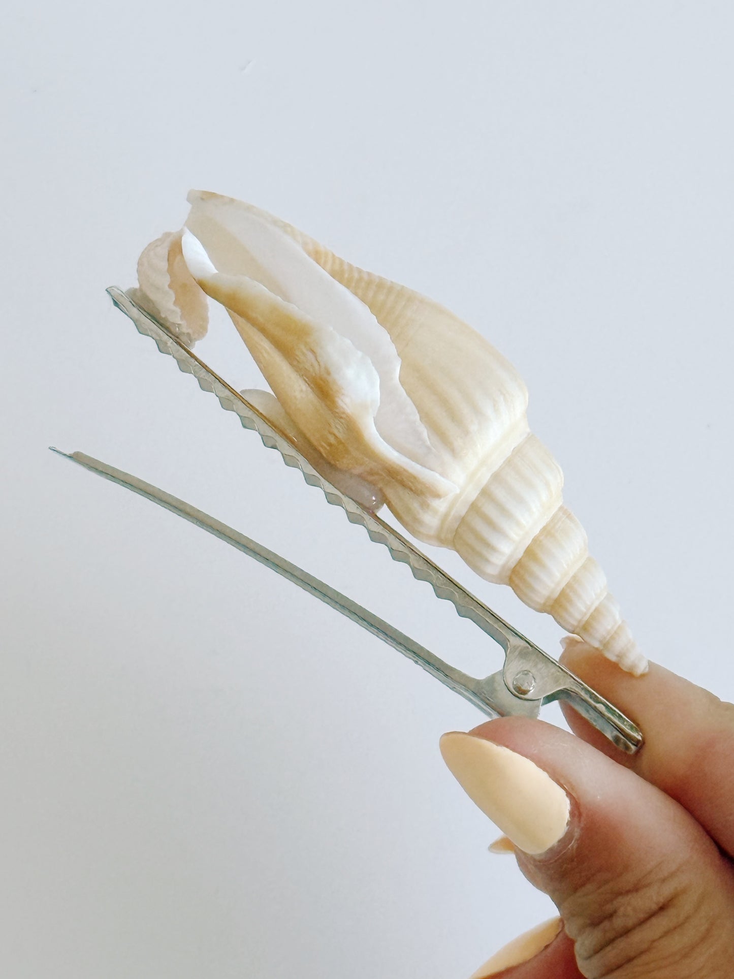 Ariel Shell Hair Clip