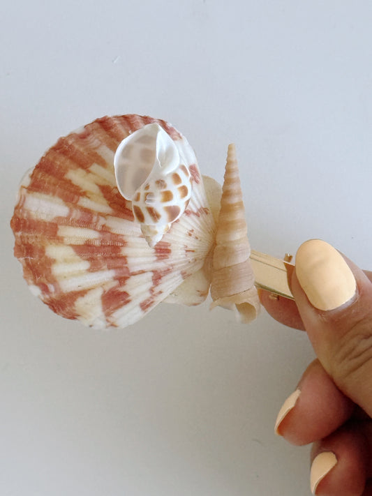 Solana Shell Hair Clip