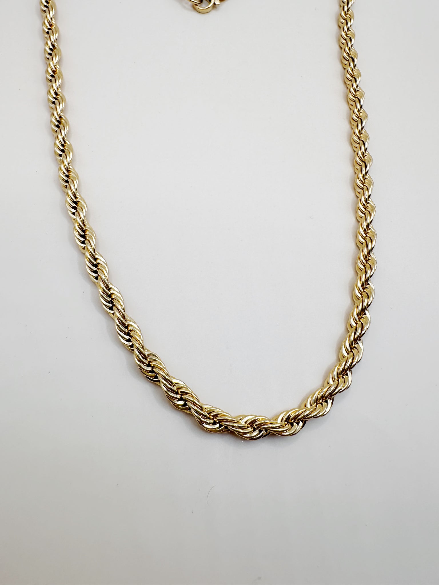 Phoenix Rope Chain Necklace
