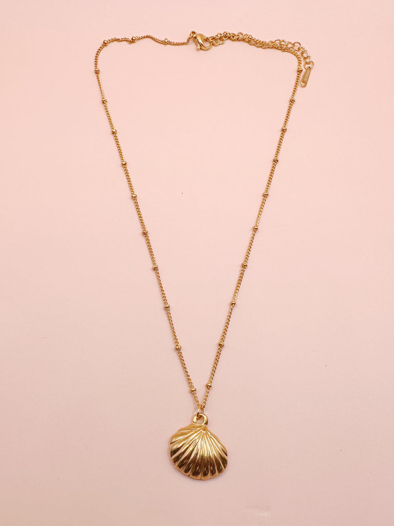 Gold-Filled Conch Shell Necklace | Midori Jewelry Co.