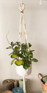 Plant Hanger with Beads